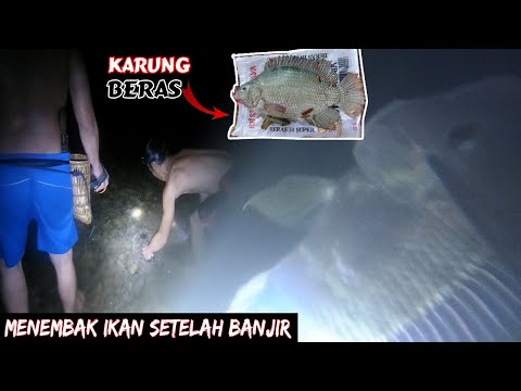 tembak ikan